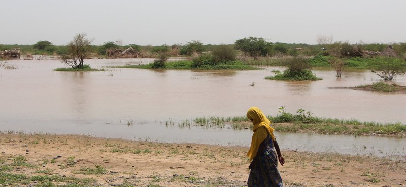 A woman walks near a body of water in Sudan, 2016