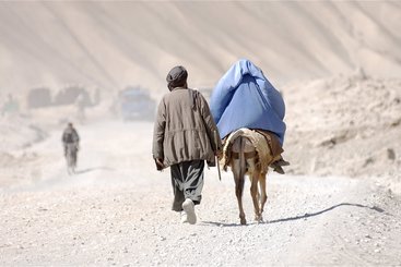 Afghanistan couple on donkey. Iain Cochrane/Afghanistan Matters