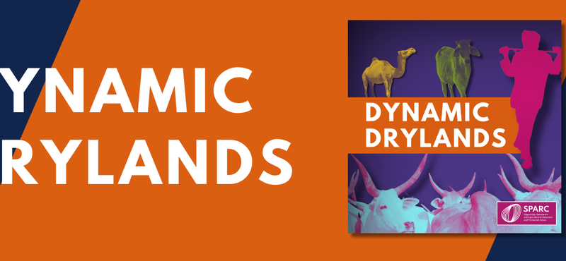 Dynamic Drylands - BANNER 100424