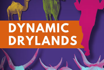 Dynamic Drylands - artwork