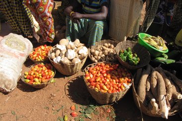 Market in Kati District, Mali. Credit: ECECHO Anouk Delafortrie