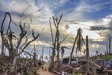 Samar Island, Guiuan. Moments before sunset, a desolate landscape of destroyed coconut trees outside the centre of town.