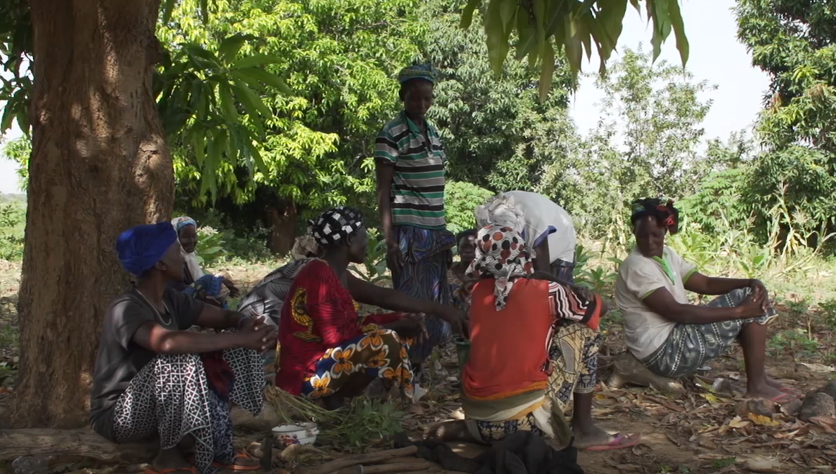 Rural community in Burkina Faso (still from PRISE film). Photo: PRISE CC-BY-NC-ND"