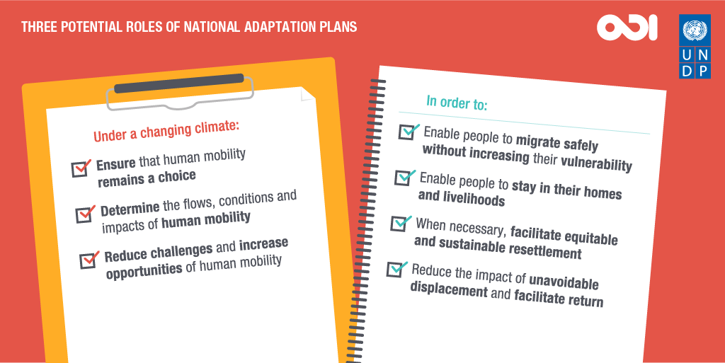 Three potential roles of national adaptation plans