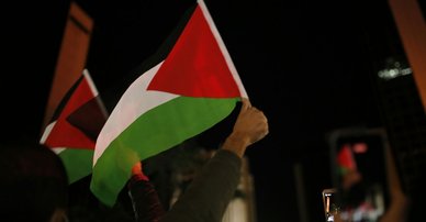 Person holding up the Palestinian flag