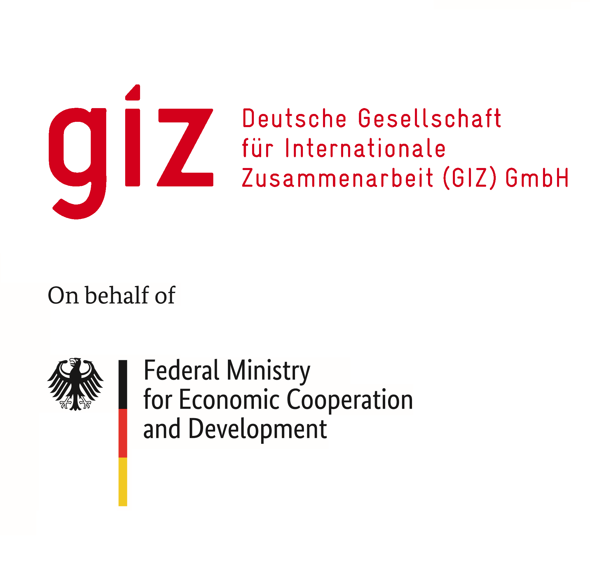 giz_bmz_logo.png