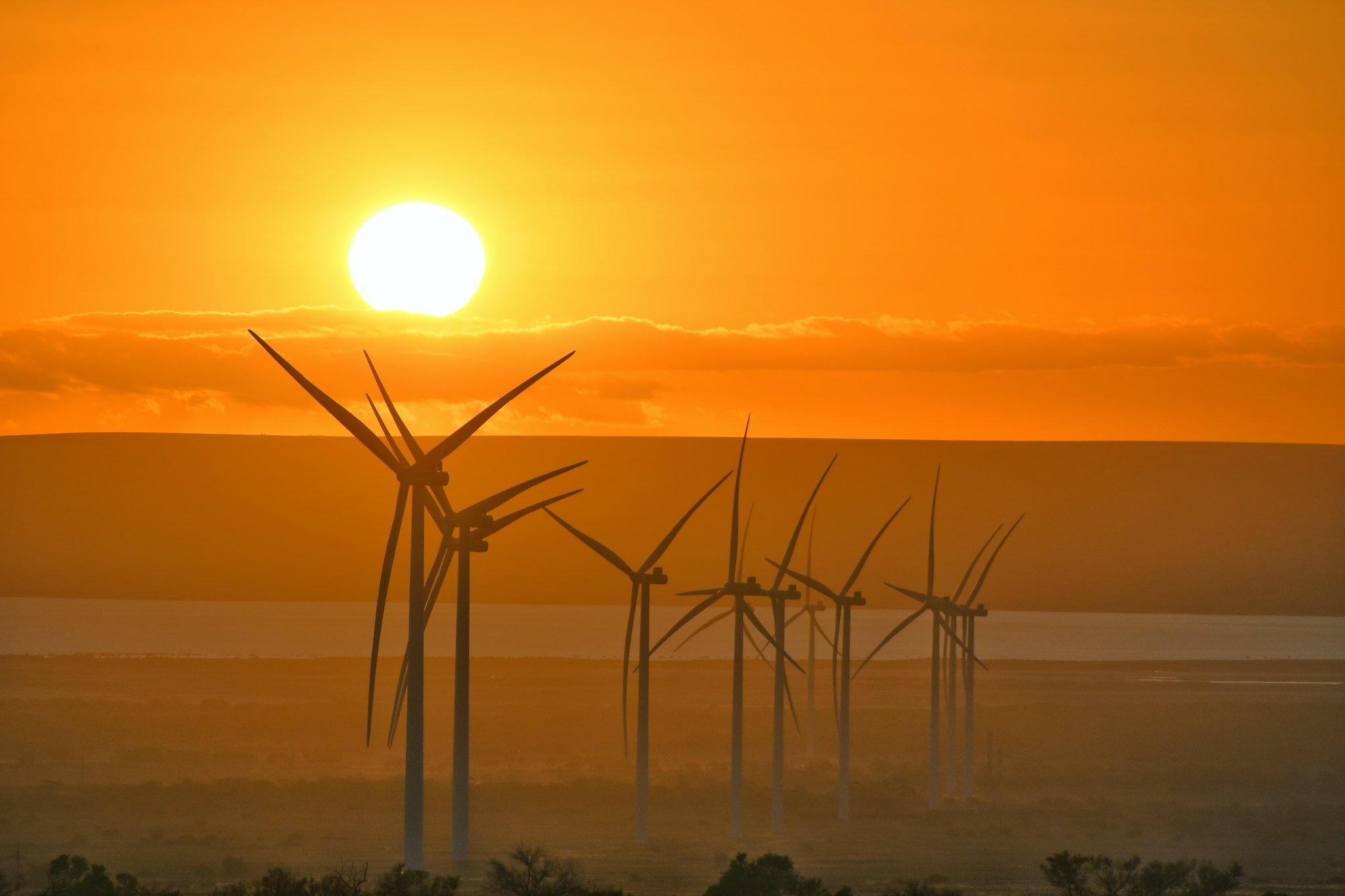 Port Augusta Renewable Energy Park