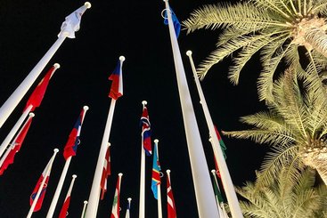 Flags at COP28