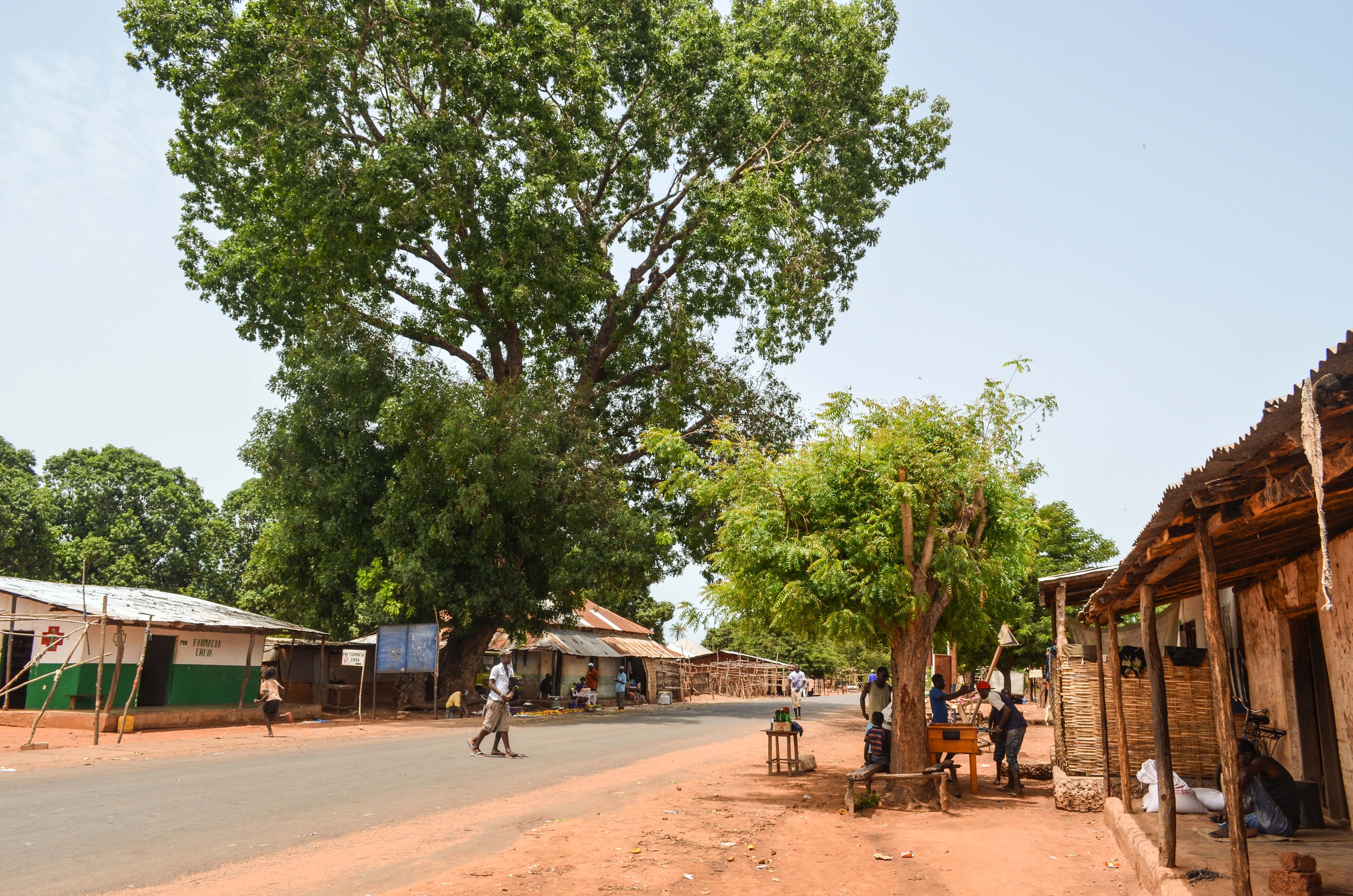 Near Ziguinchor Bula, Guinea-Bissau