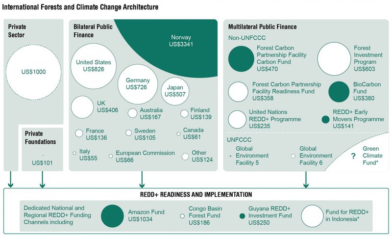REDD+ international forests and climate change architecture