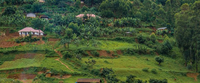 Local Village with houses on the green hill at the Bunyonyi lake in Uganda. Credit: Dario Verdugo