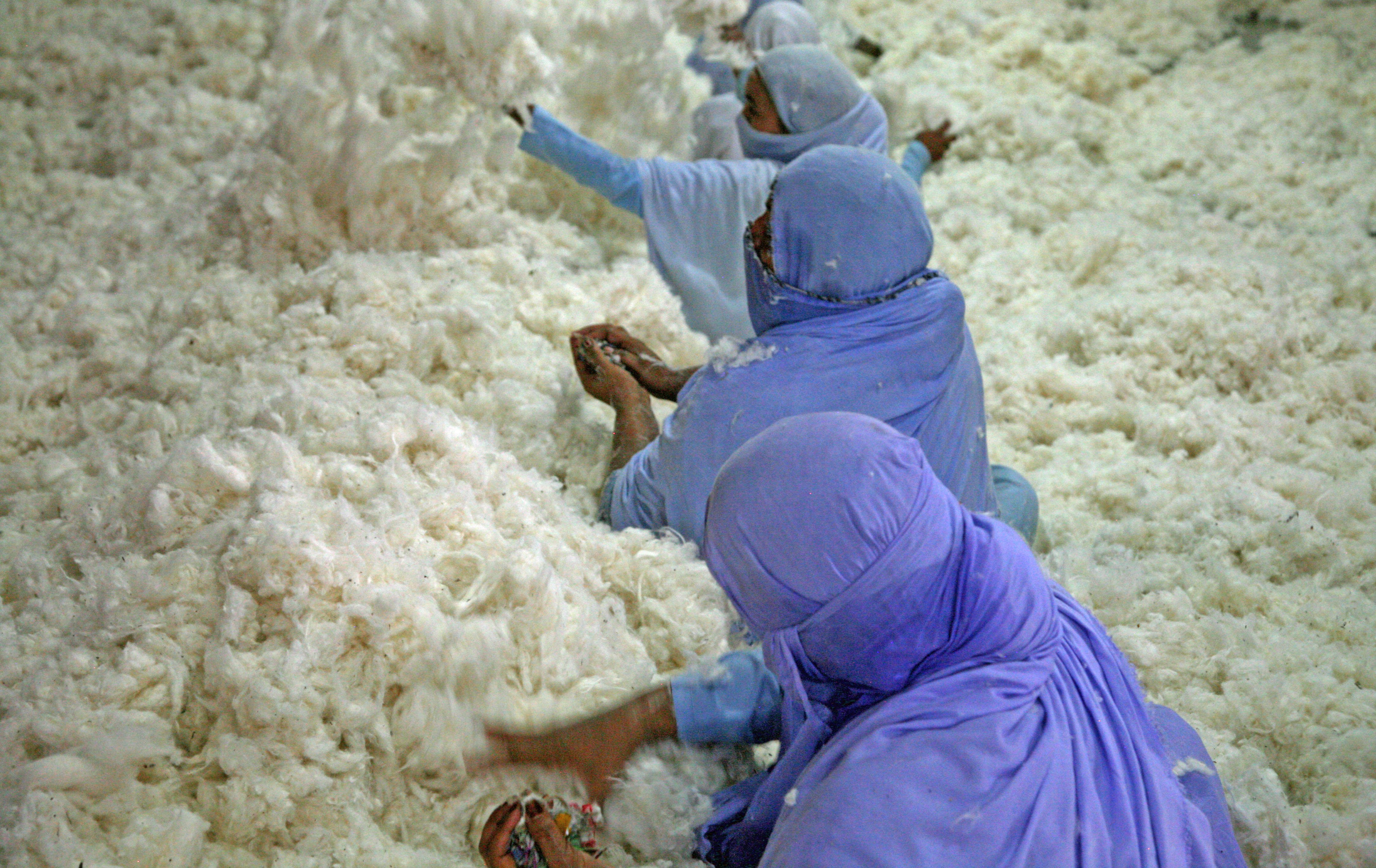 Women decontaminating cotton at J. K. Spinning Mills, near Faisalabad, Punjab, Pakistan. Photo: PRISE/Rajeshree Sisodia
